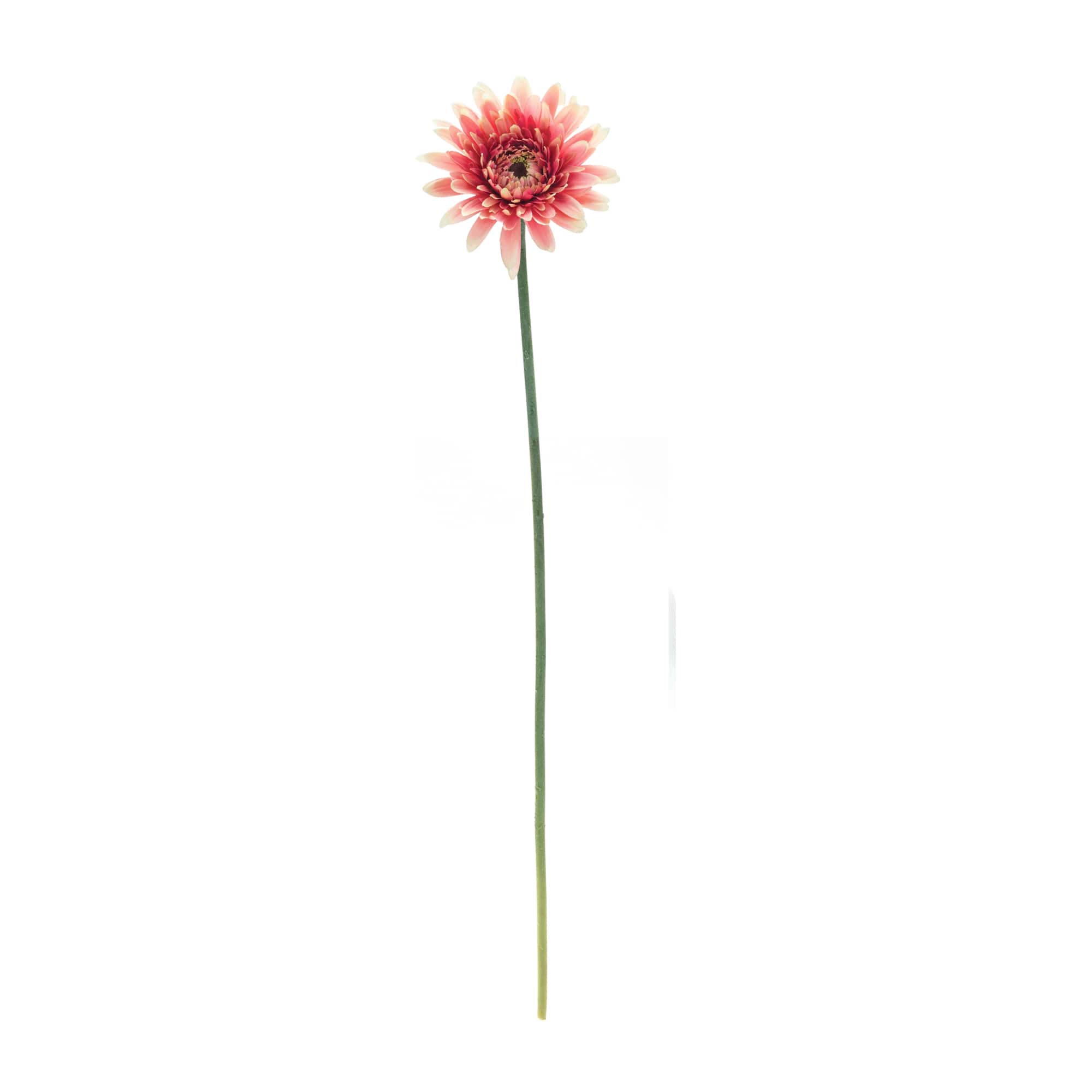 22" Gerbera Daisy Floral Stem, 6ct.